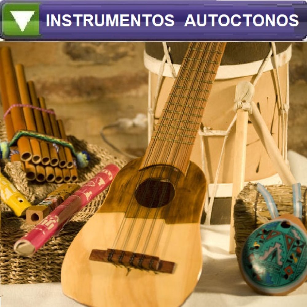 Instrumentos Autóctonos 